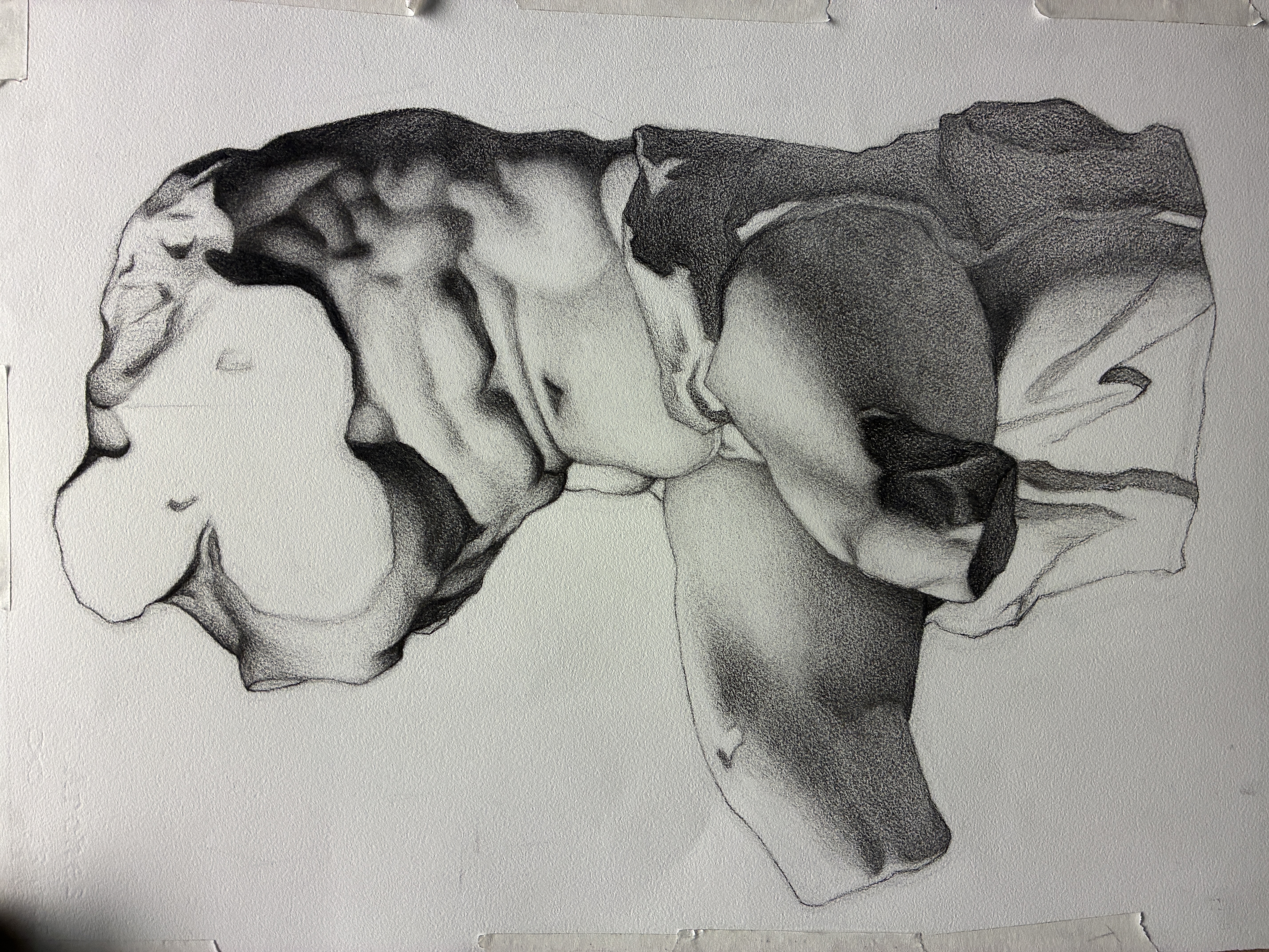 Academic Charcoal Study