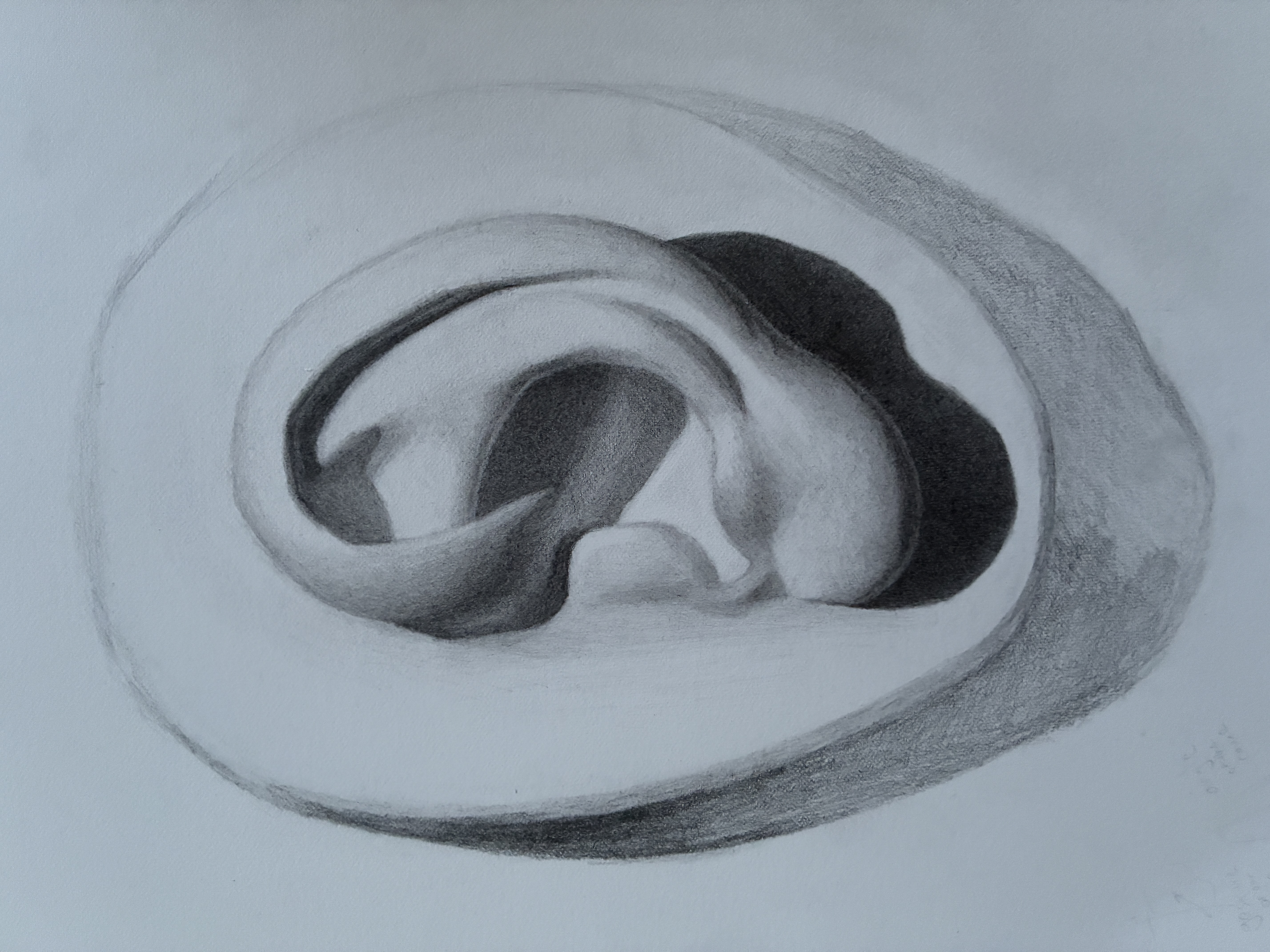 Unfinished Academic Study