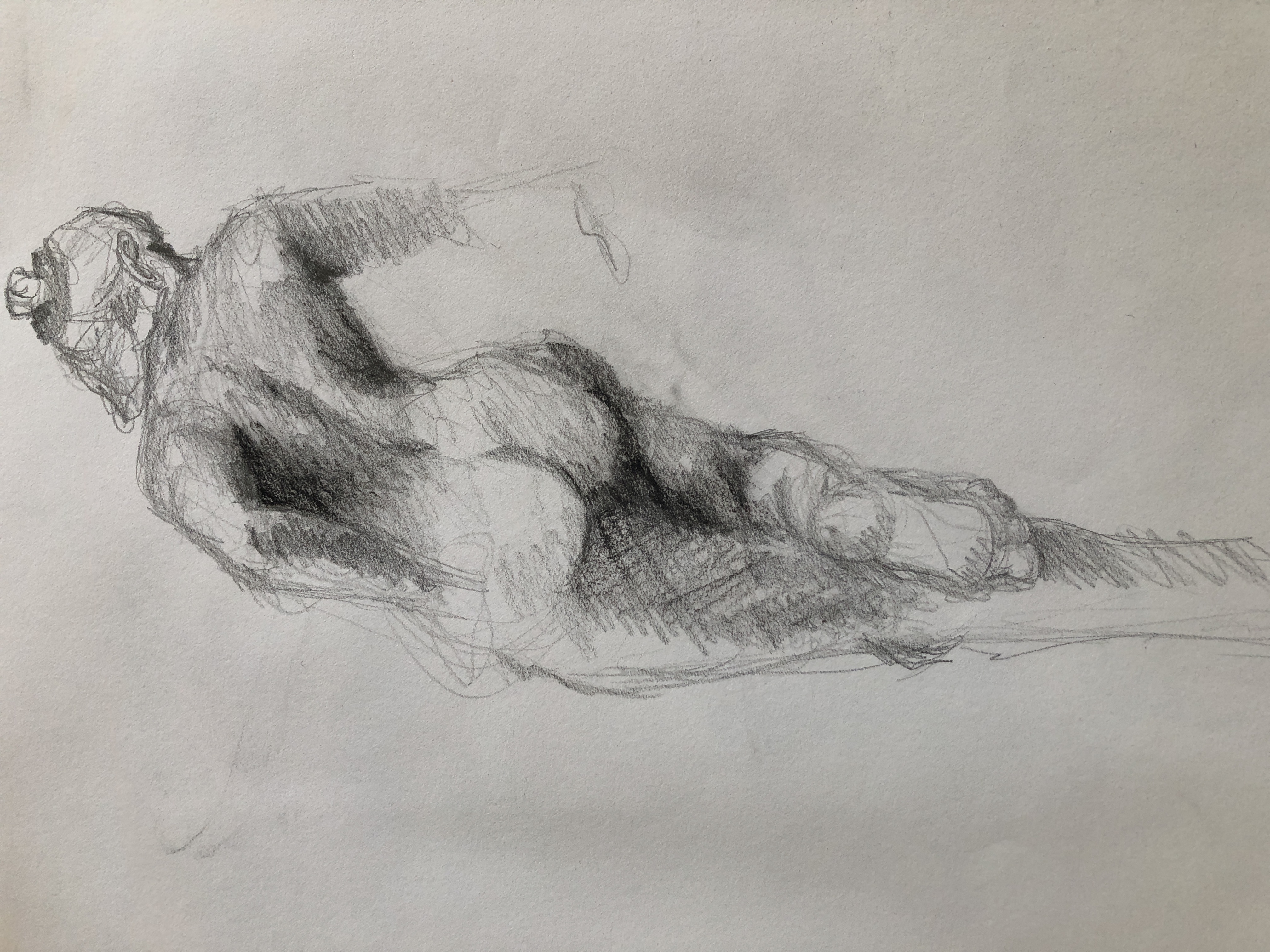 figure drawing