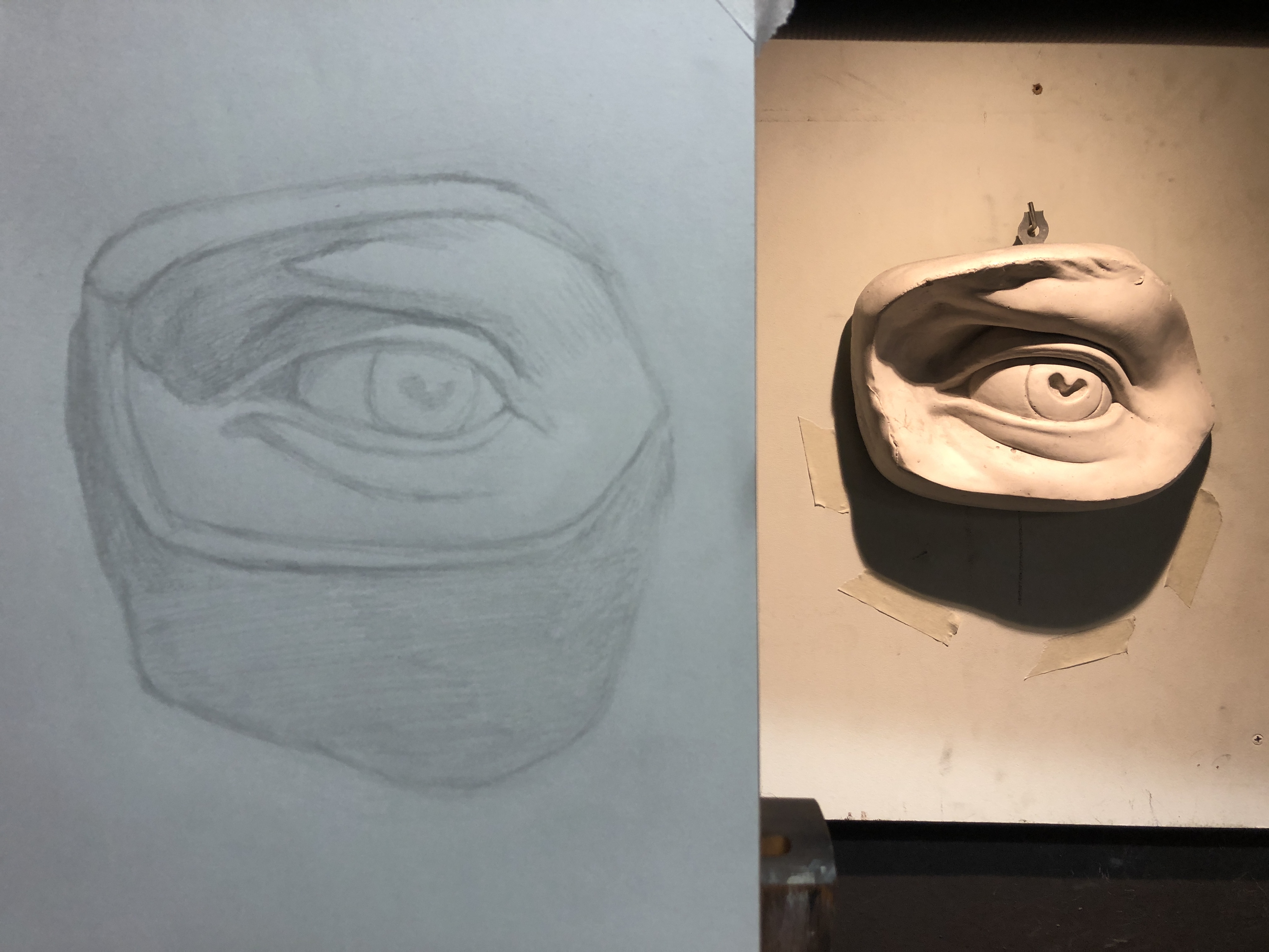 Shape Identification